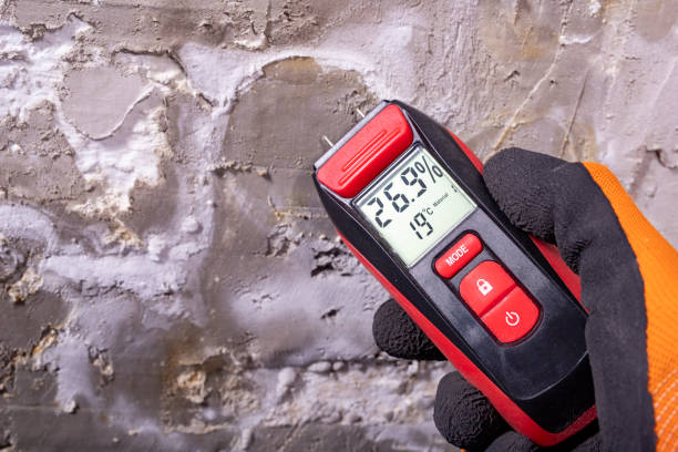 Best Certified Mold Removal  in Kinsey, AL