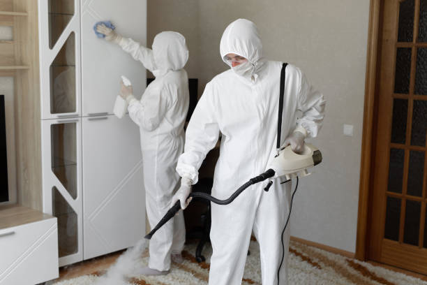Best Mold Removal Process  in Kinsey, AL