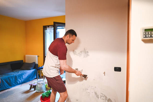 Trusted Kinsey, AL Mold Removal Experts