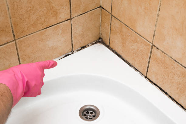 Best Office Mold Removal Services  in Kinsey, AL